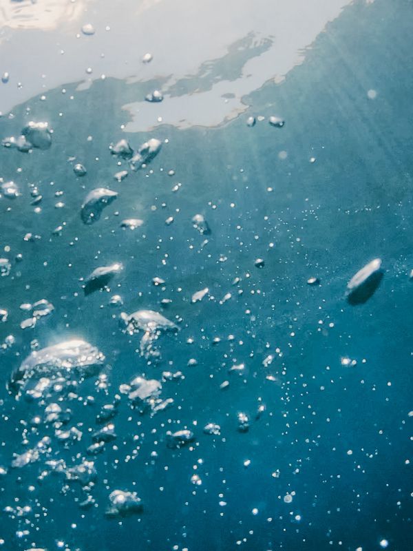 海の泡
